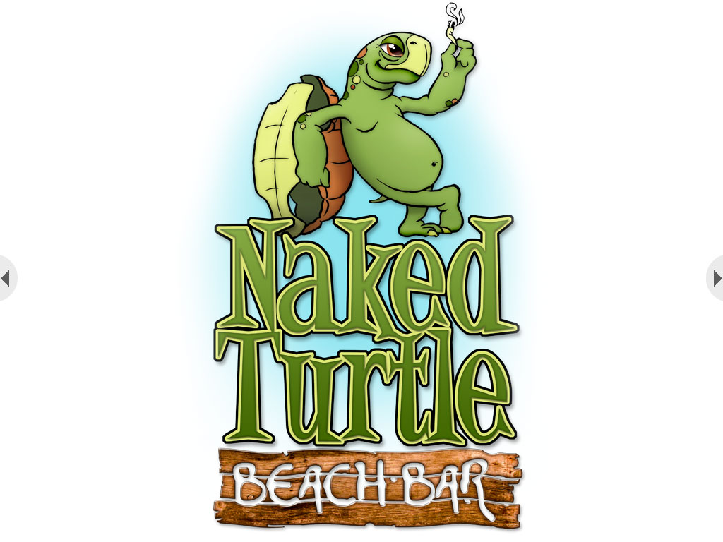 custom illustrations and logos